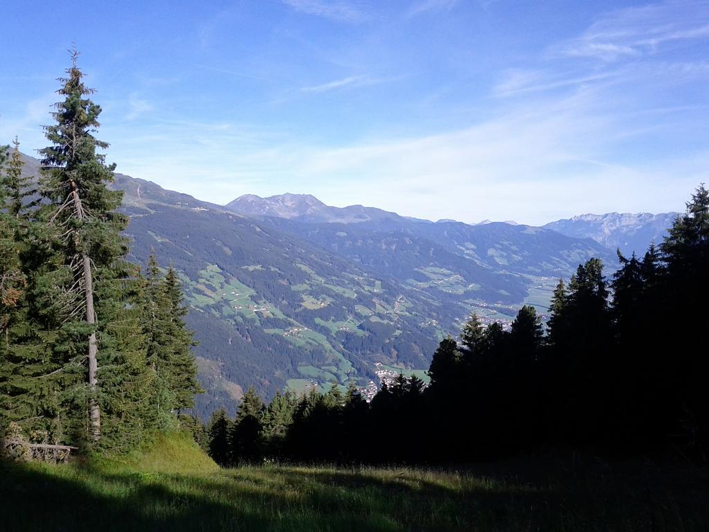 Landhaus Hoellwarth Zell am Ziller Phòng bức ảnh